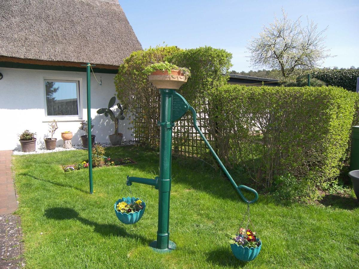 Apartamento Urlaub Bei Schünemanns