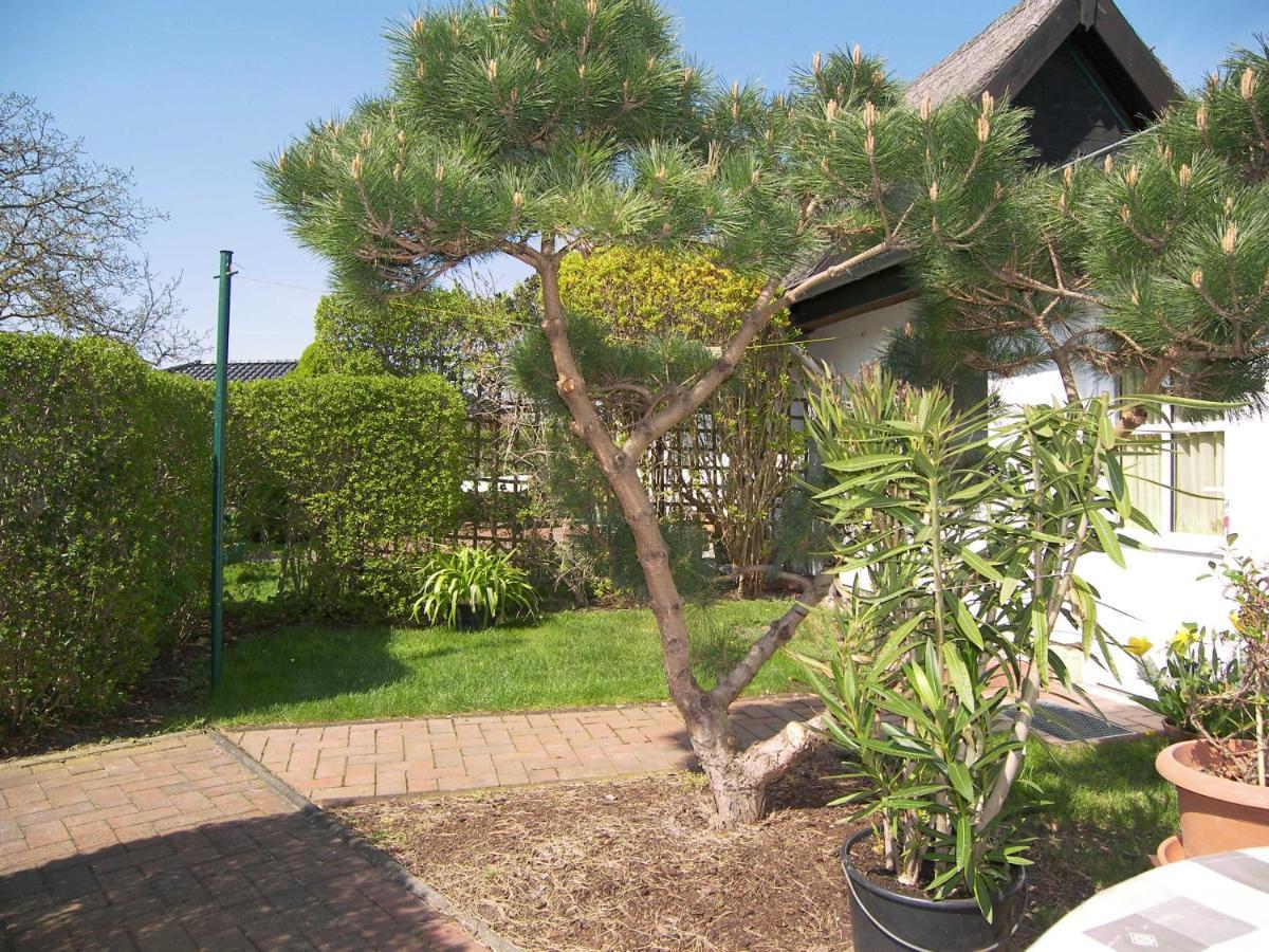 Urlaub Bei Schünemanns Apartamento *